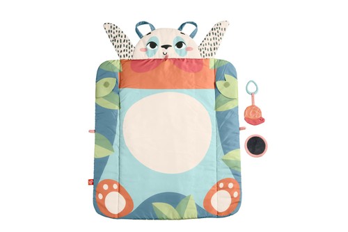 Fisher price baby activity - baby,