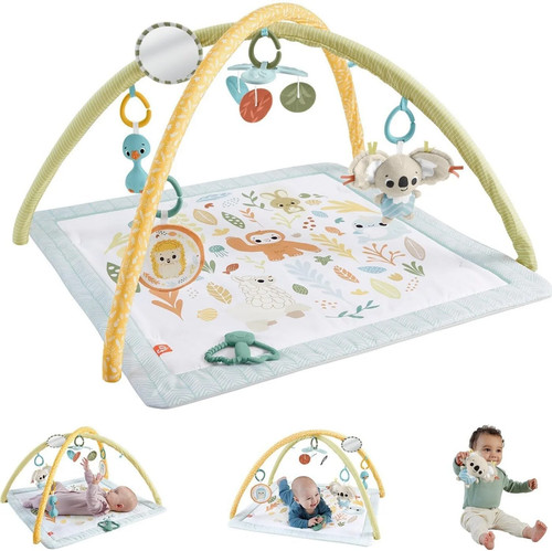 Fisher price simply - simply, senses