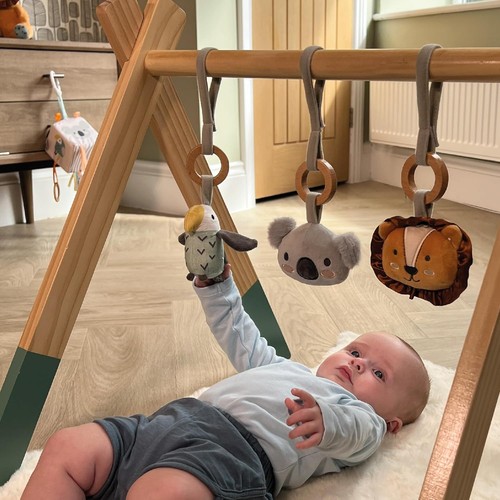 Nuby animal adventures - animal, wooden