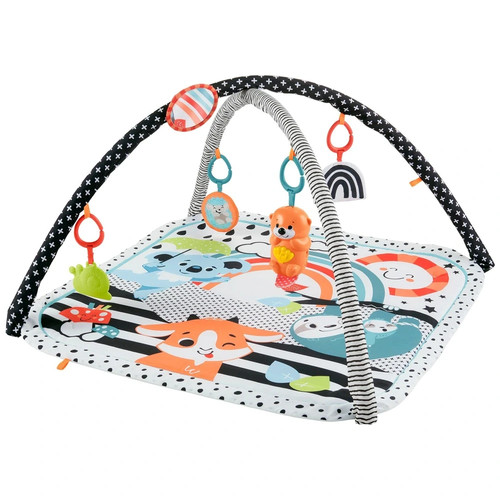 Fisher price baby - gym, music